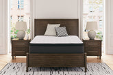 3 Brothers Decor - Ashley Furniture - Limited Edition PT Mattresses - Queen - M41231