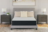 3 Brothers Decor - Ashley Furniture - Palisades Firm Mattresses - Full - M41521