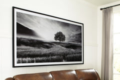 3 Brothers Decor - Ashley Furniture - Deborland Wall Decor - Wall Art / Black/White - A8000341