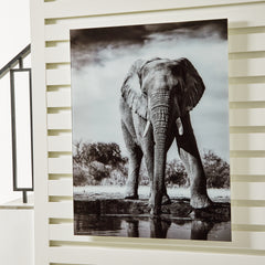 3 Brothers Decor - Ashley Furniture - Glinyard Wall Decor - Wall Art / Black/White - A8000421