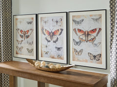 3 Brothers Decor - Ashley Furniture - Jossletts Wall Decor - Wall Art Set (3/CN) / Orange/Black/Ivory - A8000490