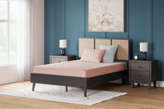 3 Brothers Decor - Ashley Furniture - iKidz Coral Mattresses - Twin and Pillow 2/CN / Coral - M43111