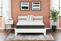 3 Brothers Decor - Ashley Furniture - 10 Inch Pocketed Hybrid Mattresses - King / White - M58941